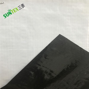 Film de <span class=keywords><strong>serre</strong></span> Panda en plastique de protection noir blanc de <span class=keywords><strong>200</strong></span> <span class=keywords><strong>microns</strong></span> <span class=keywords><strong>pour</strong></span> l'agriculture, feuille de couverture de plante en polyéthylène 16*25m - Product Image 2