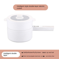 Casserole électrique multifonction antiadhésive mini 600W en acier inoxydable 201 avec couvercle en verre trempé de 20 cm, cuiseur vapeur, marmite, pour l'extérieur