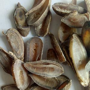 Wen Yu Jin, herbe médicinale traditionnelle chinoise, racine de <span class=keywords><strong>curcuma</strong></span> séchée, en vente - Product Image 4