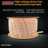 Bande LED SMD AC 220V 2835 120 LED/m 8mm PCB PVC IP Autre 100m/rouleau 3500K-6000K Blanc naturel Étanche Extérieur Flexible