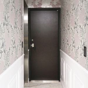 Puerta de acero de la mejor venta Serie 180 Especificación de puerta insonorizada profesional W990xH2080mm - Product Image 5