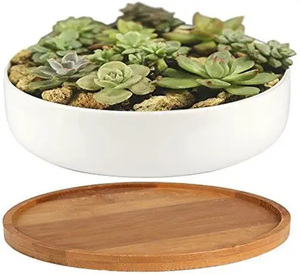 Pot de plante <span class=keywords><strong>d</strong></span>'intérieur en céramique blanche moderne de 6.3 pouces avec trou de Drainage, jardinière succulente de table, support de <span class=keywords><strong>fleur</strong></span> <span class=keywords><strong>d</strong></span>écoratif, bol <span class=keywords><strong>bassin</strong></span> - Product Image 4