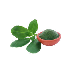 <span class=keywords><strong>Kalanchoe</strong></span> <span class=keywords><strong>Pinnata</strong></span> de marque privée OEM-Feuille de vie Lao Di Sheng Gen supplément 60 capsules - Product Image 3