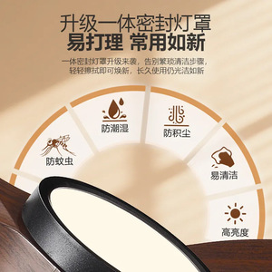 <b>Ceiling</b> <b>Fan</b> Light With Led Fixed Blade For Living Room 5 10 Sqm Zhongshan Lighting - Product Image 2