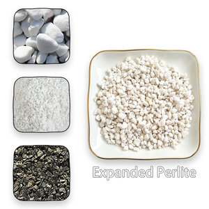 <span class=keywords><strong>Perlite</strong></span> expansée haute porosité légère et respirante pour mélange de potting pour plantes succulentes, cactus, orchidées, bonsaïs et amélioration du sol de jardin - Product Image 2