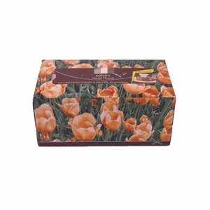 Kimberly-Clark Professional Surpass Flat Box 2-Ply White Unscented 100 Facial Tissue
