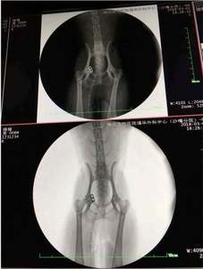 آلة تنظير الذراع PFD C لجراحة الأشعة مع نظام ذراع رقمي C جهاز أشعة <span class=keywords><strong>X</strong></span> - Product Image 5