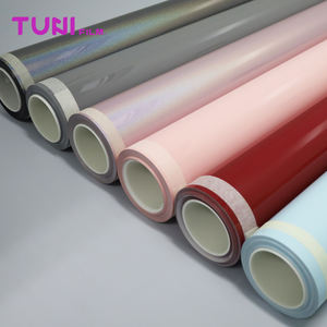 Vinilo para Rotulación de Vehículos, Vinilo de Color para Detallado Automotriz, Película de PVC para Autos, PET Brillante, Color Verde Caqui (Oscuro) <span class=keywords><strong>7</strong></span>.5mil - Product Image 6