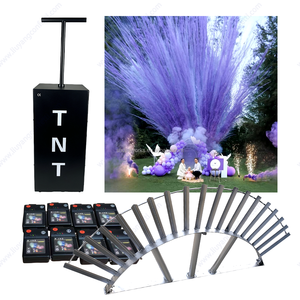 Événement Louer Fx Personnaliser Confettis Poudre <span class=keywords><strong>Canon</strong></span> Articles De Fête Nouveau Design Popper Feux D'artifice De Mariage Tnt Fumée Bombe Sexe Révéler - Product Image 2