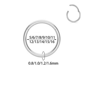 Anello Chiuso in Acciaio Inossidabile 316L, Anello per Naso Rotondo Senza Saldature, Gioielli per Piercing, Cerchio Chiuso in Acciaio Inossidabile - Product Image 1