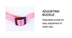 Arnés de nailon con forma de H para perro, Correa y Collar para perro, personalizado, de alta gama - Product Image 6