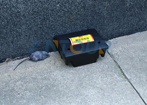 กล่องดักหนูแบบมีชีวิต ทำจากพลาสติก PP พร้อมเหยื่อสำหรับหนูและสัตว์ฟันแทะ - Product Image 6