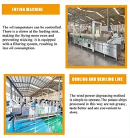 Ligne de production automatique de frites congelées et de frites de légumes en acier inoxydable SUS304, prix usine DY, 200-600 kg/h