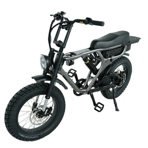 Vélo de montagne électrique à moteur 48V 1000W EN 15194, vélo à pneus larges, cadre en aluminium 20*4.0 pouces, suspension intégrale - Product Image 1