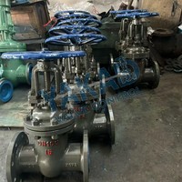 Válvula de Compuerta de Acero Inoxidable Z41W-16P, Bridada RF, SS304, Vástago Ascendente, para Tuberías de Agua, Petróleo y Gas, PN16