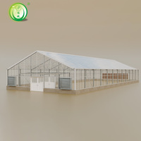 Serre à simple travée à toit en pente en polycarbonate de haute qualité
