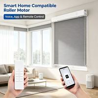 Kit de moteur de chaîne motorisé électrique Tuya Wifi pour stores automatiques, compatible Alexa Google Home, pour maison intelligente