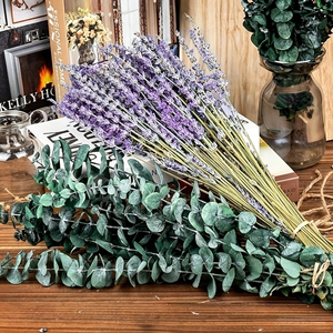 Bouquet <span class=keywords><strong>de</strong></span> fleurs <span class=keywords><strong>de</strong></span> lavande séchées parfumées avec des feuilles d'eucalyptus pour l'aromathérapie, l'<span class=keywords><strong>aide</strong></span> au sommeil, <span class=keywords><strong>la</strong></span> décoration <span class=keywords><strong>de</strong></span> <span class=keywords><strong>la</strong></span> maison, cadeau - Product Image 1