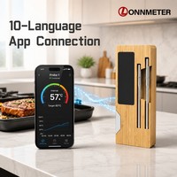 Termometer BBQ Pintar Nirkabel Bluetooth Dual Probe Mendukung Deteksi Suhu Simultan untuk 2 Makanan