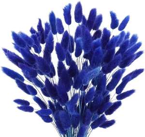 Bouquet de queues de lapin décoratif personnalisé en usine Nature éternelle <span class=keywords><strong>Lagurus</strong></span> Ovatus sec fleurs séchées conservées - Product Image 5