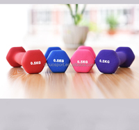 Haltères hexagonaux en plastique de haute qualité OEM, disponibles en plusieurs couleurs, pour les culturistes, petits haltères.