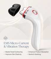 Appareil chauffant électrique Gua Sha, masseur facial à micro-courant EMS avec vibration sonique pour un soulagement profond des gonflements et un raffermissement de la peau