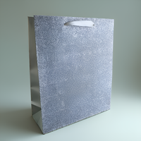 Sacs cadeaux en papier d'art de luxe avec pelliculage mat brillant or/argent sur toute la surface, réutilisables, 157 g/m², avec poignée en ruban