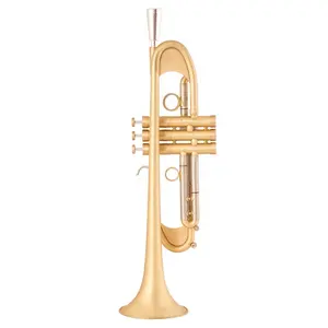 Pro B-flat plus heavy trumpet band che suona Pro grade plus pesante tromba spazzolata oro