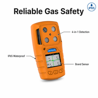 Détecteur de gaz portable Safewill de haute qualité, importé, 4-en-1, analyseur de gaz EX CO H2S O2, détecteur multi-gaz pour l'industrie