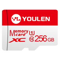 Cartes mémoire TF haute vitesse pour Dash Cam et Action Cam 8GB 16GB 32GB 64GB 128GB 256GB 512GB pour une utilisation mobile