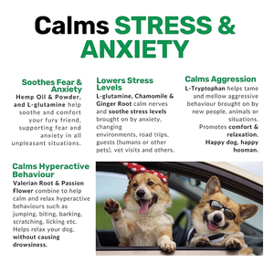 Suplemento de Golosinas Calmantes <span class=keywords><strong>para</strong></span> Mascotas OEM con Aceite de Semillas de Hemp y Manzanilla <span class=keywords><strong>para</strong></span> Perros, Alivio de la Ansiedad, el Miedo y el Estrés, Masticables Suaves - Product Image 5
