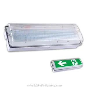 2022 Kejie 3W - 8W 51Pcs Smd2835 Led Emergency Light With Uk Standard