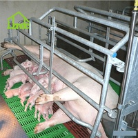 Cage de maternité personnalisable pour truies, directement de l'usine, pour l'élevage porcin
