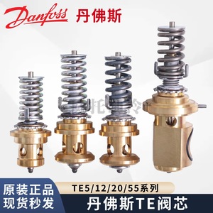   Noyau de vanne d'expansion thermostatique Te5 Te12 Te20 Te55, vanne de régulation externe en laiton et acier inoxydable - Product Image 3