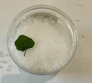 เม็ดพลาสติกโพลีโพรพิลีนสำหรับกล่อง - Product Image 2