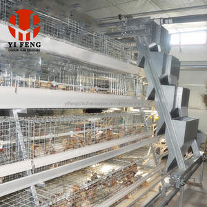 Nuovo un tipo di gabbia di pollo eco-friendly piramide con sistema di alimentazione autoamtica gabbia di allevamento di pollame di lunga durata - Product Image 6