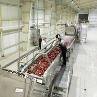 Machine de production de fruits naturels, pour la production de jus apple, dinette complète, 1 pièce, argent, frais supplémentaires