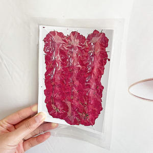 Fiori Pressati di <span class=keywords><strong>Rose</strong></span> per Resina Epossidica, Decorazione con Fiori Essiccati, Nuova Moda per Capodanno, Fiori e Ghirlande, Piante Vere, Alla Moda, 7-15 Giorni - Product Image 4