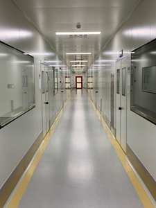 หมากฝรั่งพรีไบโอติกไฟเบอร์ฉลากตามต้องการ - Product Image 6