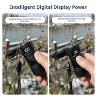 Briquet Plasma Double Arc Rechargeable USB-C Étanche IP56 avec Affichage de Puissance et Lampe Torche pour Cuisine, Barbecue, Bougies, Extérieur, Logo Personnalisé