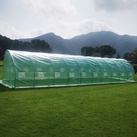 Serre tunnel agricole serre tube en acier galvanisé polycarbonate semences potagères