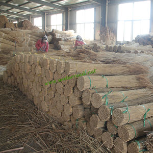 Wasser <span class=keywords><strong>Reed</strong></span> Für Thatching - Product Image 4