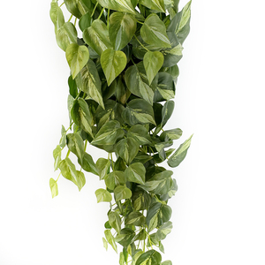 <span class=keywords><strong>Feuille</strong></span> de <span class=keywords><strong>patate</strong></span> <span class=keywords><strong>douce</strong></span> simulée et ensemble extérieur de décoration murale en rotin - Product Image 4