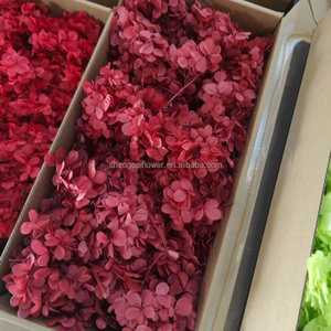 <span class=keywords><strong>Fleurs</strong></span> naturelles <span class=keywords><strong>stabilisées</strong></span> Corsage fleur vrais pétales <span class=keywords><strong>Bouquet</strong></span> boîte florale stabilisé hortensia bricolage Arrangement - Product Image 3