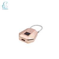 Cadenas intelligent biométrique compact et pratique 1308 avec fonction de sécurité quotidienne pour bagages, sacs à dos et casiers de gym