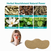 Patch Nasal Unisexe pour Adultes à l'Huile de Graine de Xanthium et aux Herbes Chinoises, en Tissu Non-Tissé Respirant, Parfum Herbal Doux, Soin Nasal, OEM Marque Privée