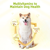 Solution en pâte de vitamines B complexes, absorption rapide, sûre, riche en protéines, nutritionnelle pour animaux de compagnie, efficace pour traiter la stomatite