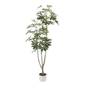 PE/PU/BENT Tronco Naturaleza-idéntico Nuevo modelo <span class=keywords><strong>Árbol</strong></span> de hoja de <span class=keywords><strong>yuca</strong></span> artificial para decoración del hogar Decoración de plantas - Product Image 5
