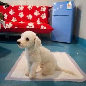 Alfombrillas Impermeables para Cachorros de Gran Tamaño y Bajo Precio, Alfombrillas de Entrenamiento para Perros, Alfombrillas para Orinar para Perros - Product Image 3