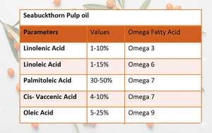 Huile de pulpe d'argousier (SBT) de qualité supérieure - Riche en Oméga-7 bioactifs pour la peau et le bien-être - Fournisseur d'Inde - Product Image 3